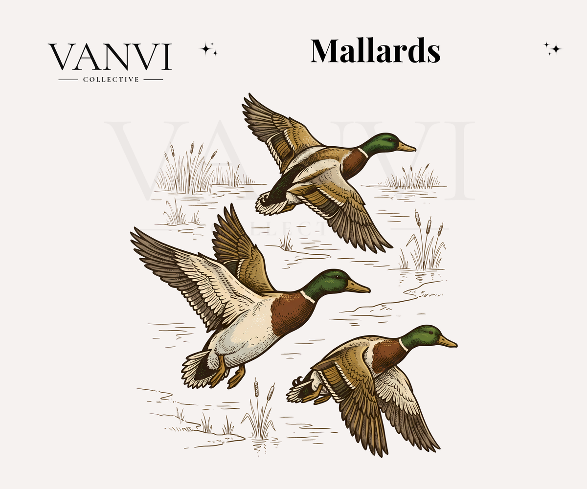 Mallards